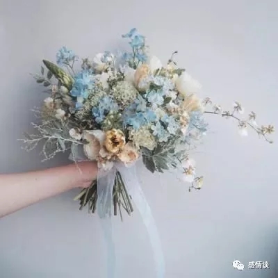 最后的克劳迪娅免费下载