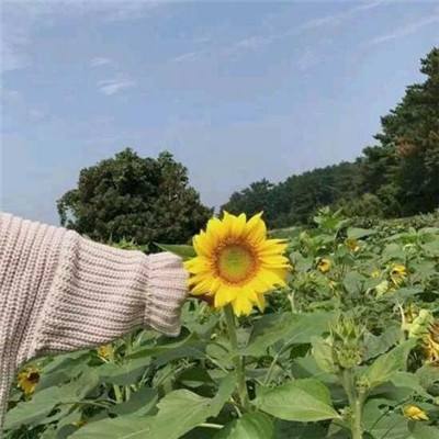暗黑血统2小米手游下载